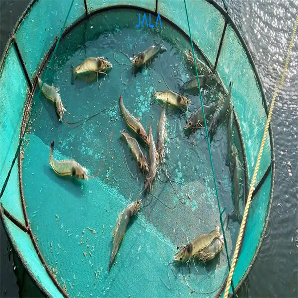 Exploring the global demand for fresh water prawns and opportunities for growth in the industry