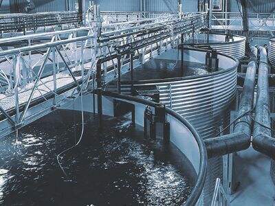 The Power of Technology in Modern Aquaculture Production