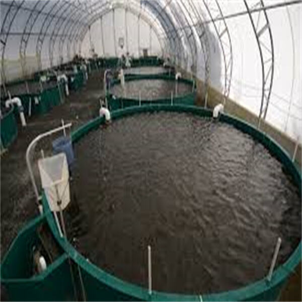 Just How to Use and Enjoy Aquaculture Products