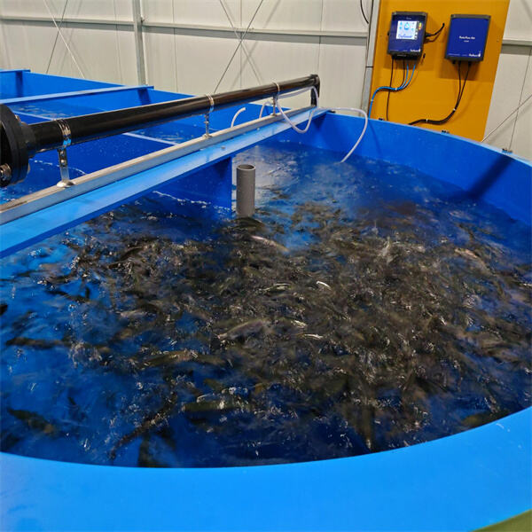 Enhancing Food Security Through Aquaculture Innovations
