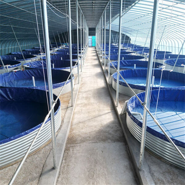 How Exactly to Use Fish Farming Ponds