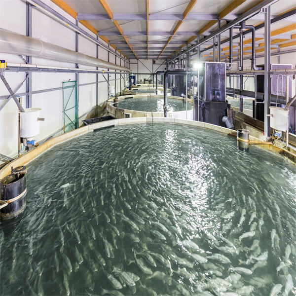 Innovations in Aquaculture Technology
