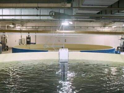 Aquaculture Can Help Feed the World Amid Climate Uncertainty