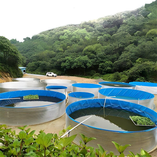 Fish Farm Looking for New Managemen