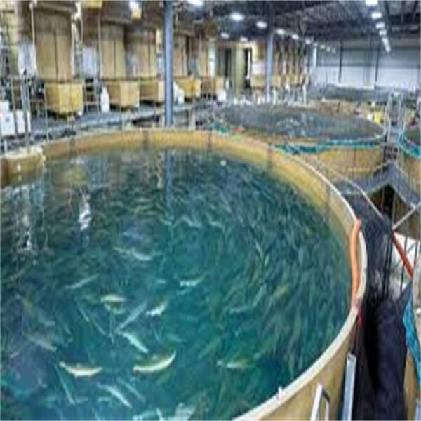 Innovation in Sustainable Aquaculture