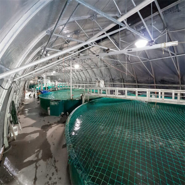 Ready to Dive In? Fish Farm Ready for New Owner