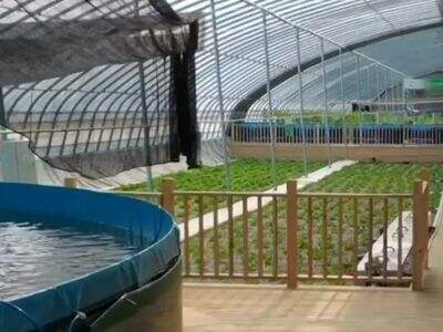 Policy Innovation: Building a Greener Future for Fish Farming
