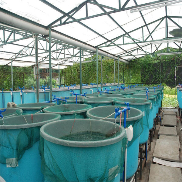 Balancing Environmental Conservation with Aquaculture Practices