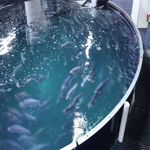 The economic benefits of aquaculture fish production