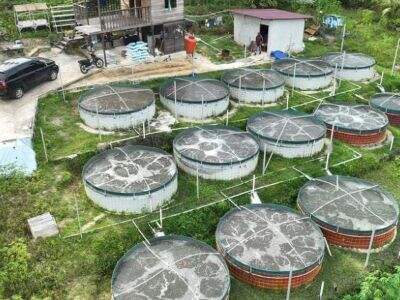 Gumagamit ng AI at Automasyon ang Teknolohiya sa Aquaculture para sa Paglago