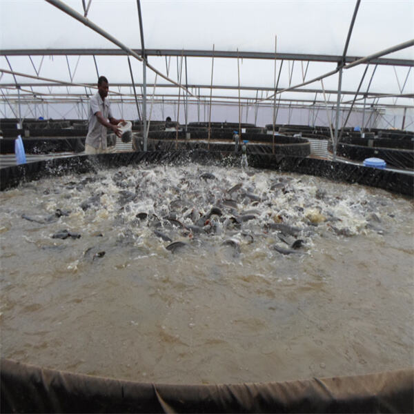 Enhancing biodiversity and productivity with integrated aquaculture