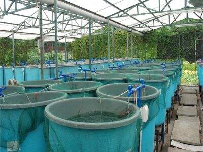 Selecting Trustworthy Aquaculture Solution Providers