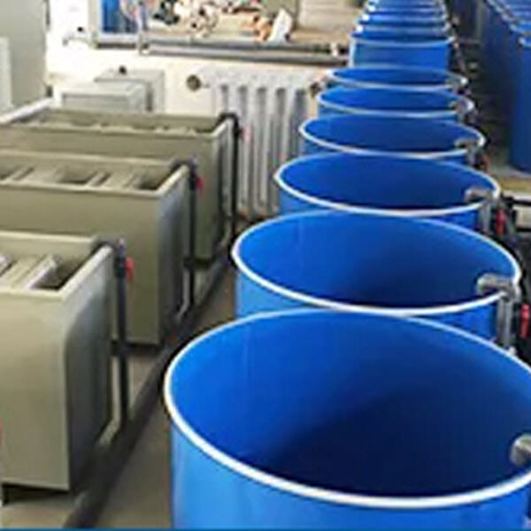 Safety when Recirculating Aquaculture System