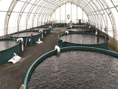 End-to-End Traceability in Modern Recirculating Aquaculture Systems