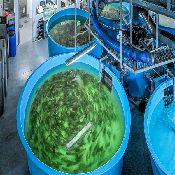 Increasing yields through the use of cutting-edge aquaculture technologies