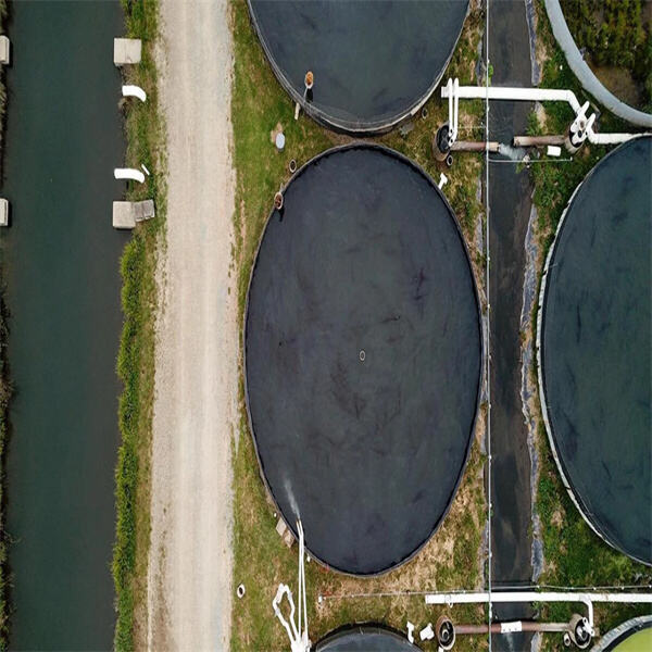 Maximizing Profitability in Pond Aquaculture Systems