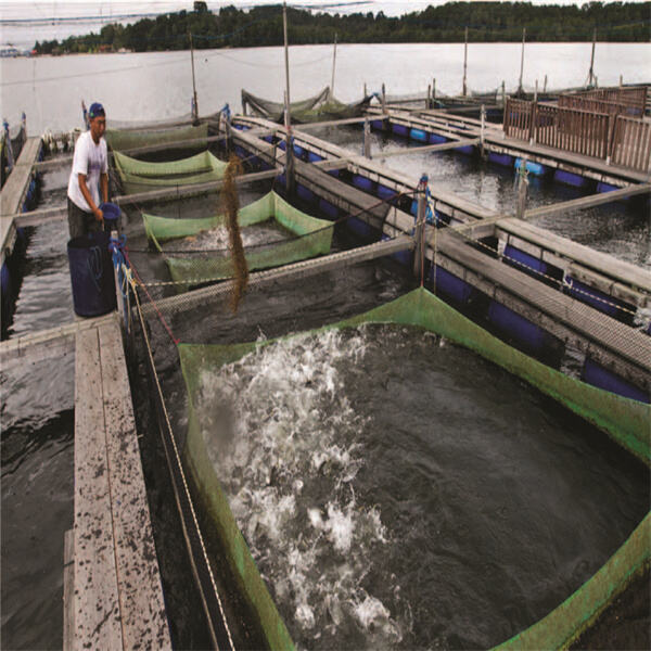 Challenges and opportunities for the global seafood industry
