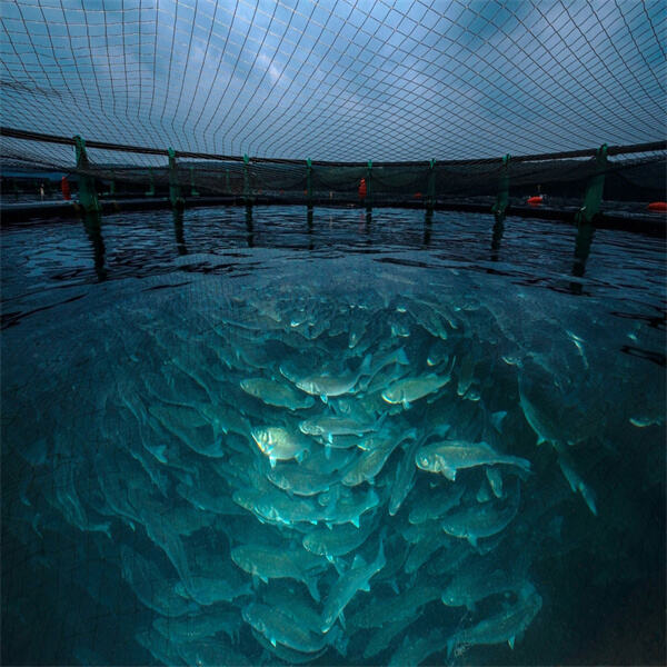 Promoting biodiversity through organic aquaculture methods