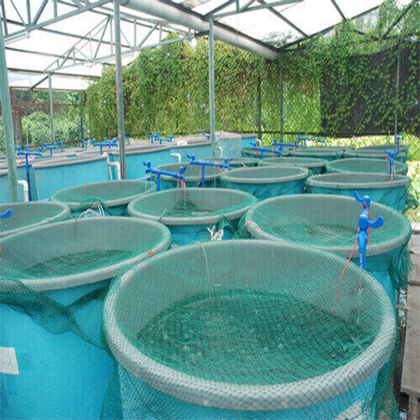 Innovations in Aquaculture: