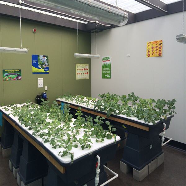 How to Successfully Manage a Pond Aquaculture Operation