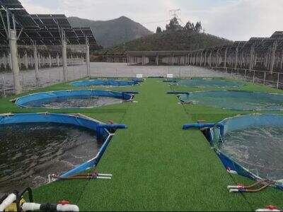 What is the most profitable aspect of aquaculture? Currently promising aquaculture projects!