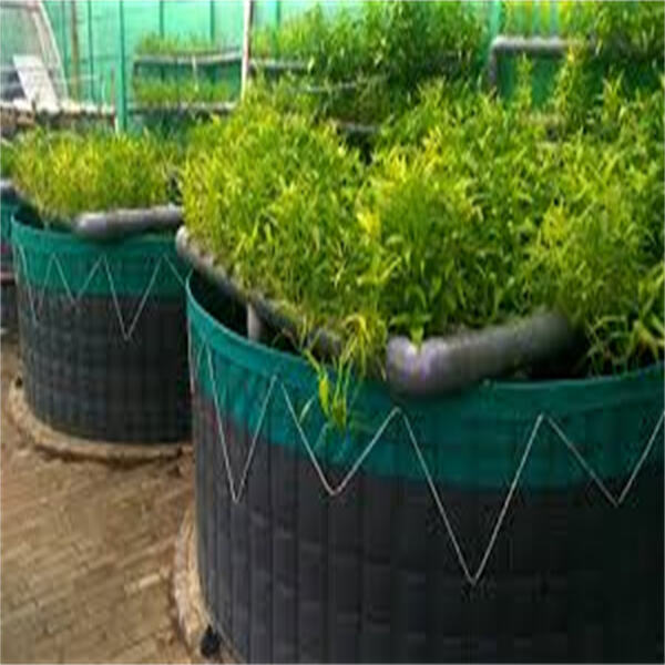 Safety of Aquaponics Plants