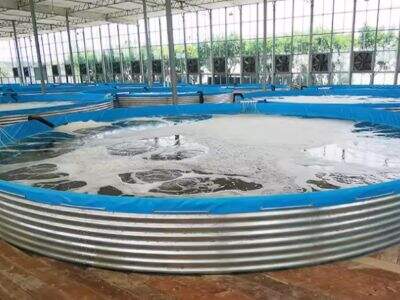 The Development Prospects and Current Situation of Aquaculture