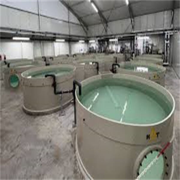 Innovation in Aquaculture Tanks