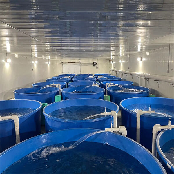 Meeting Global Demand for Seafood