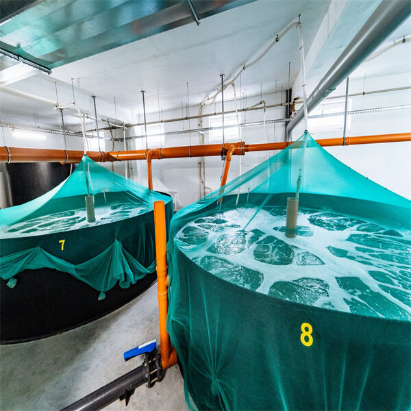 Innovations in Pond Aquaculture Technology