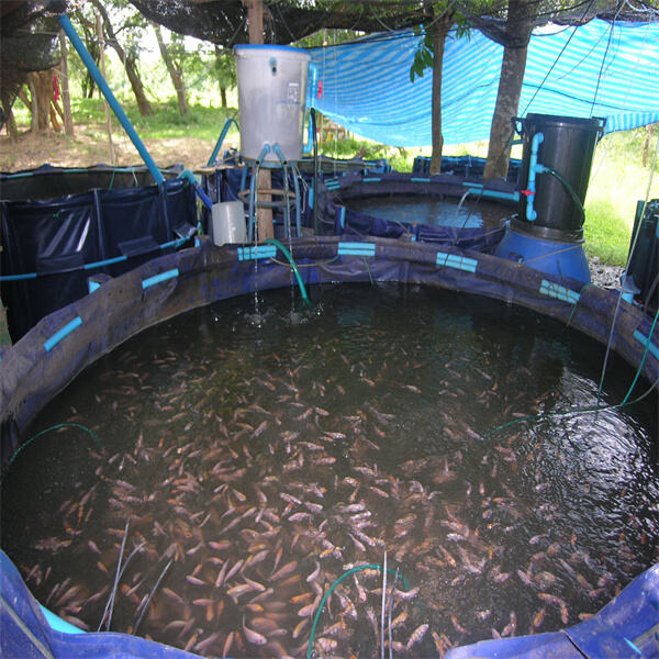 Increasing Demand for Freshwater Fish