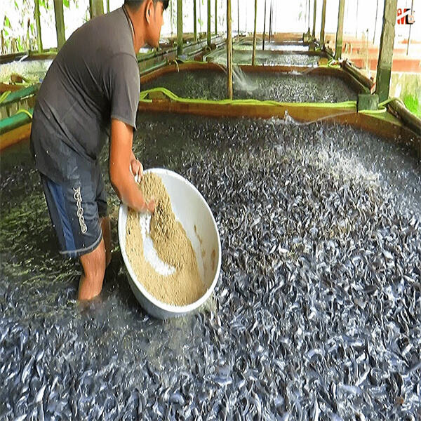Fish farming industry is constantly evolving, with advancements in technology improving efficiency, productivity, and environmental sustainability.