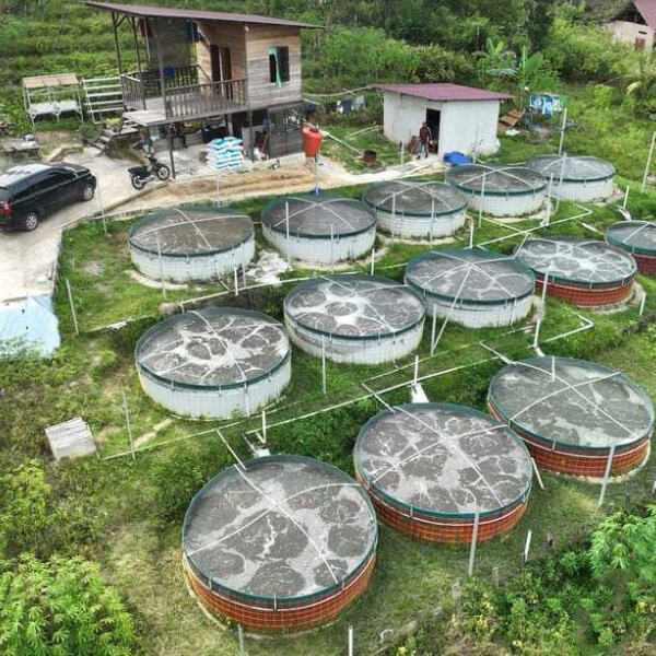 The economic and environmental benefits of embracing aquaculture