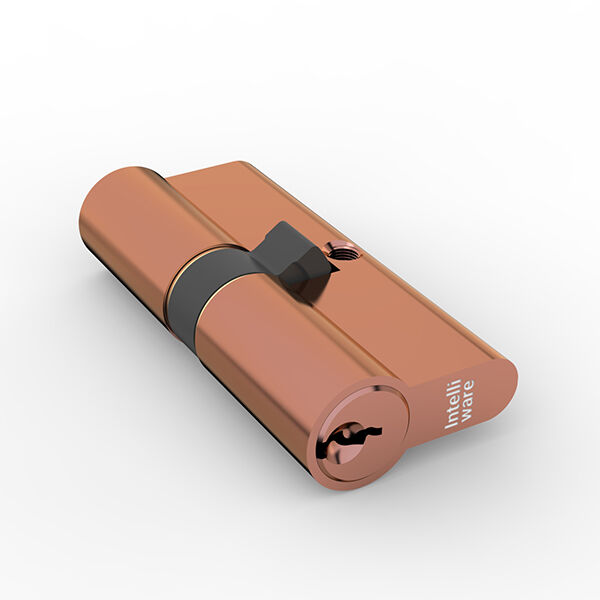 Why a High Security Cylinder Lock is Vital"