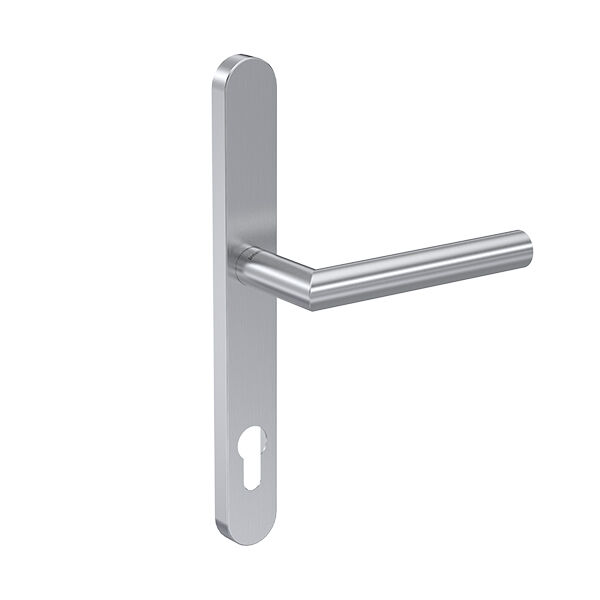 Dveřní kliku na dlouhém štítu