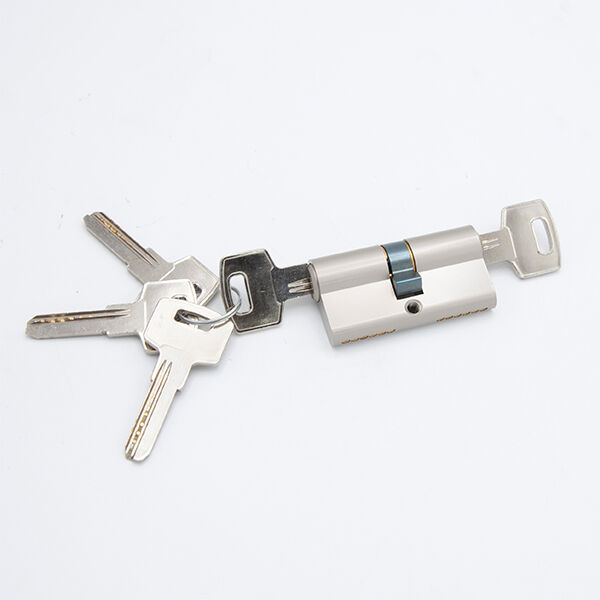 Choosing the Right Door Cylinder for Your Home Security Needs