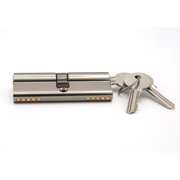 Zámeček s válcovým zámkem o průměru 80mm nabízí vynikající ochranu před vetřelci.