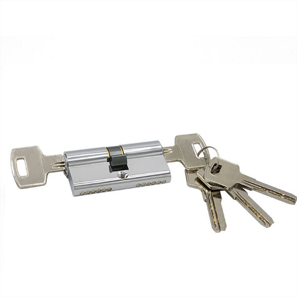 İş sahibləri və ev sahibləri üçün eyni şəkildə iki silindirli qapı idarəetməçisinin faydaları