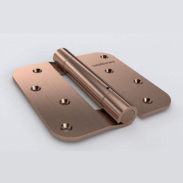 सुरक्षित हड़्डियों के साथ अपने प्रवेश बिंदु को मजबूत करें