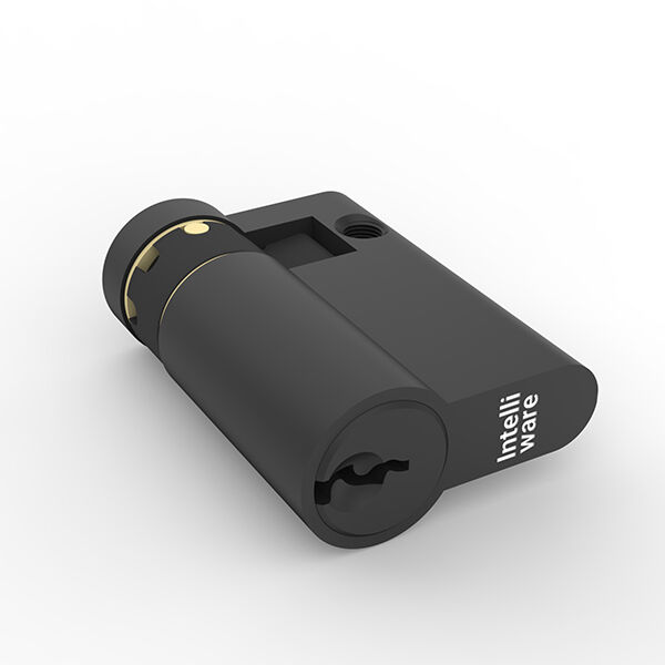 Nola Erdi Euro Zilindro Blokeak Gehiago Protektzen Dituzte Zure Propietatea