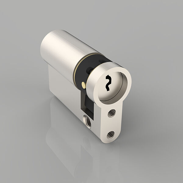 Zer Bilatu Erdi Euro Zilindro Blokeoan