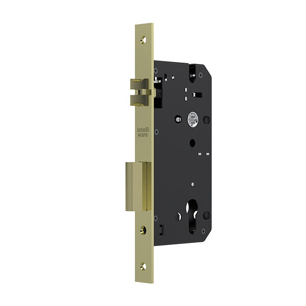 Which Door Lock Type is Best for Your Home?