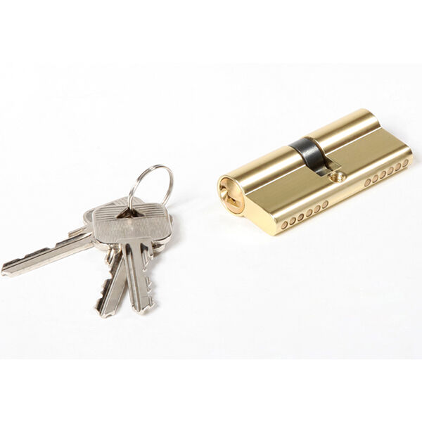 Replacing a Worn-Out Mortise Lock Cylinder for Improved Security