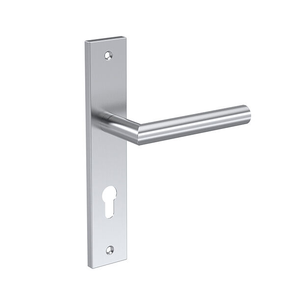 Dveřní kliku na dlouhém štítu