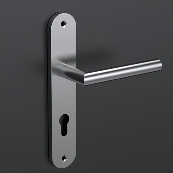 Affordable Front Door Handle Options for Any Budge