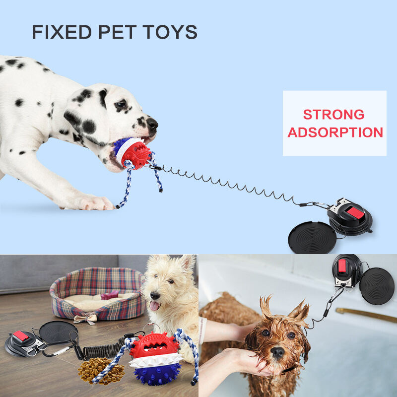 Heavy Duty Car Strap Suction Cup Hooks  Strong Suction Cups for Car Awning Boat Camping Trap Bathroom Pet supplier