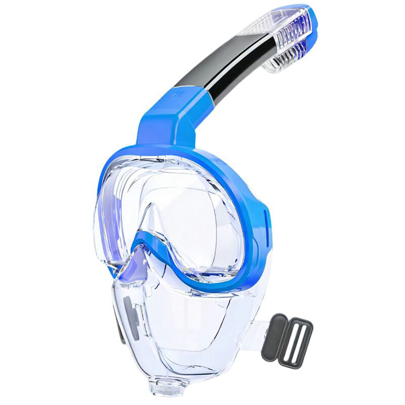 Dive mask