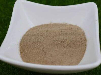 One of the best iron powder manufacturers