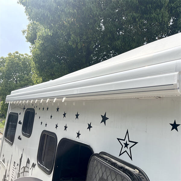 Experience Comfort in the Great Outdoors with Awning Vans