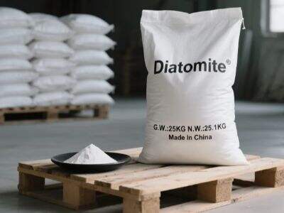 Why Diatomite Powder Is Used in Industrial Absorbents